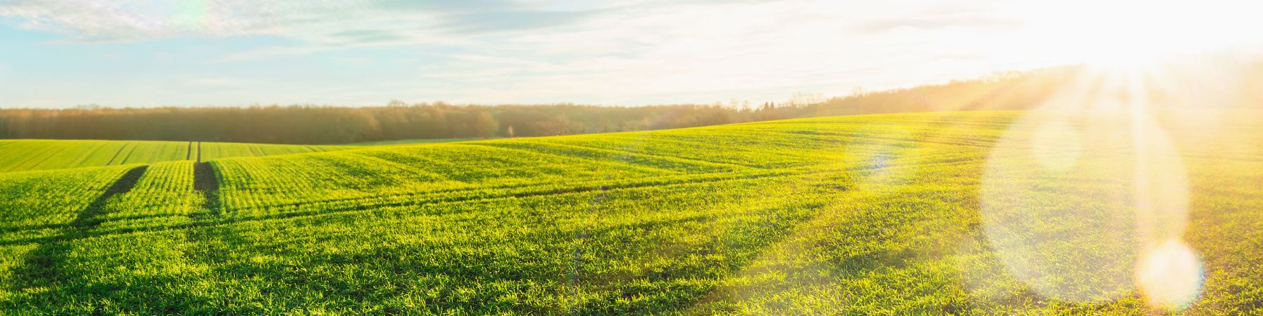 Zielone działki HOMA Investment